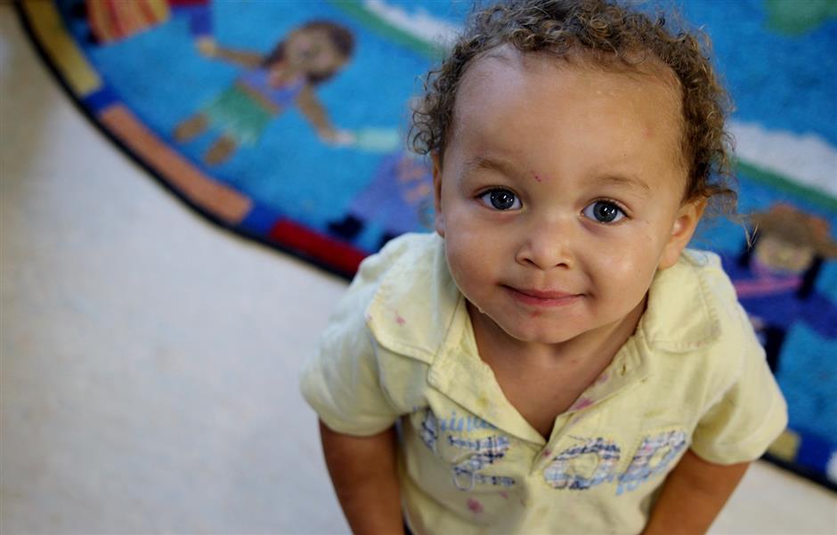 login-nova-scotia-college-of-early-childhood-education